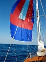 187 Spinnaker Time Baby